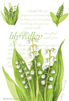 Willowbrook Fresh Scents -Duftsachet - Lily of the Valley